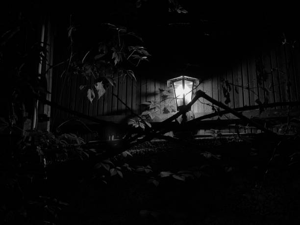 Noir - Light bulb in a garden