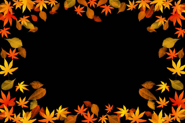 istock The leaves background illustration, image of autumn 1422438468