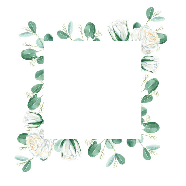 istock Watercolor floral frame, white roses and eucalyptus branches. Hand drawn botanical illustration isolated on white background. Ideal for vintage stationery, invitations, save the date, wedding, greeting card, baby shower and cosmetic design. 1422444048