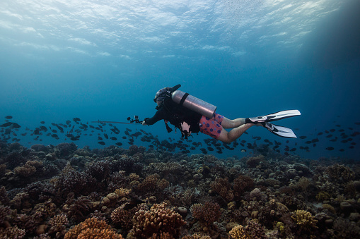 A scuba diver swimming over the reef holding an action camera taking video of a school of fish