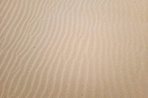istock Nice background of sand on the beach 1422455204