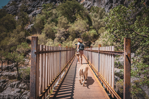 The wandering woman is enjoying an active walk along the Yazılı Canyon in Turkey with her dog.