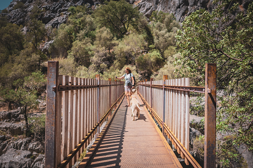 The traveler women takes photos and selfies with her phone on the bridge in the canyon valley with her dog.