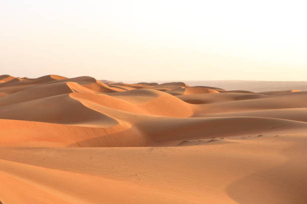 wüste wahiba sands in oman, naher osten - sahara desert stock-fotos und bilder