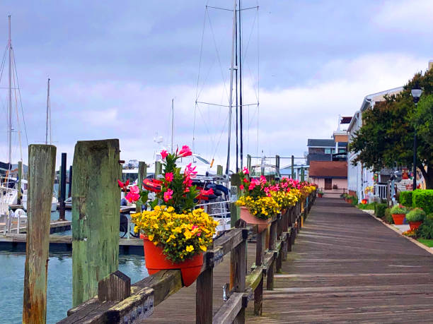 coloridas macetas a lo largo del paseo marítimo - beaufort fotografías e imágenes de stock