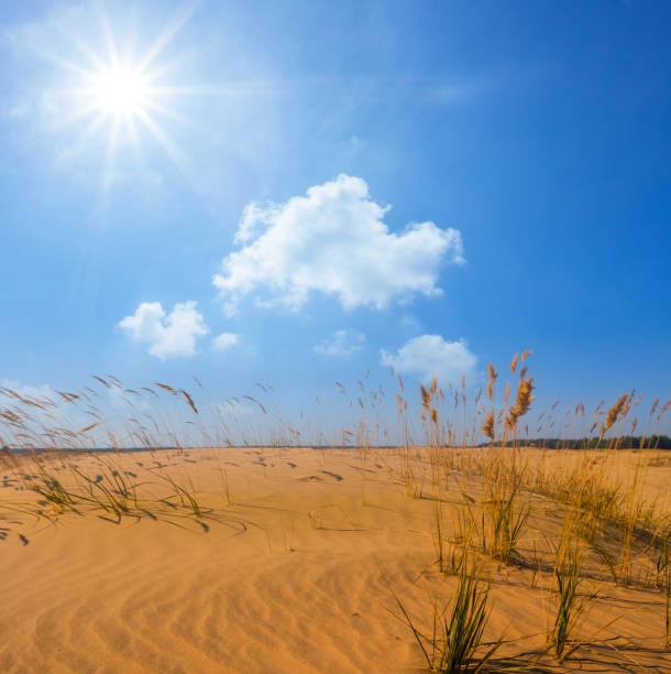 sandy prairie at the hot sunny day, sandy desert natural scene - prairie wide landscape sky imagens e fotografias de stock