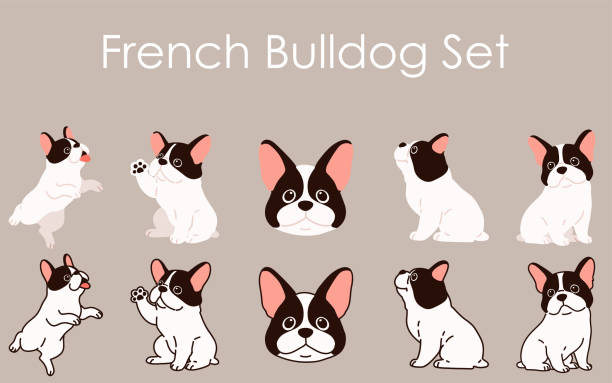 Simple and adorable French Bulldog illustrations set Simple and adorable French Bulldog illustrations set french bulldog stock illustrations