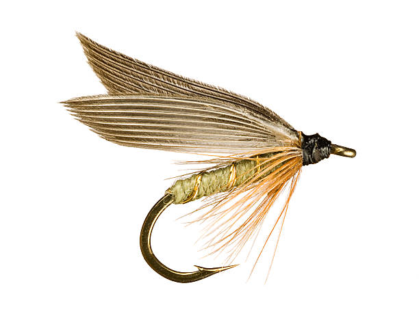 Fly Fishing Lure