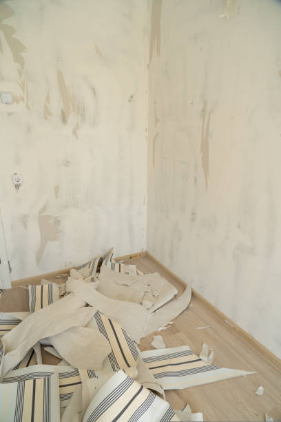 istock Apartment renovation. Peeling off old room wallpaper 1422503596
