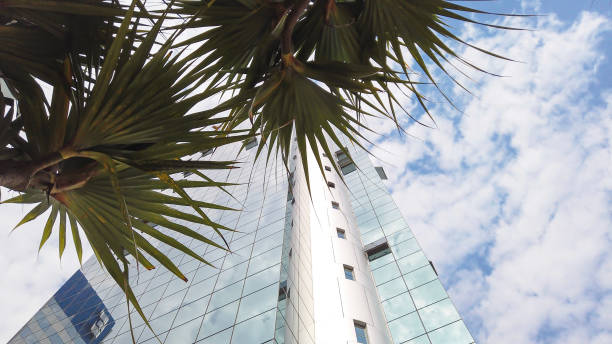 Modern building and plants on a beautiful day in the Itaim Bibi neighborhood. The region has modern buildings and great options for restaurants and cafes.