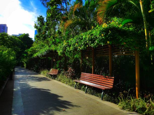 istock Brown wooden park bench 1422508189