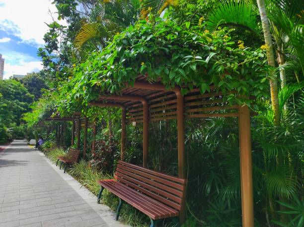 istock Brown wooden park bench 1422508498