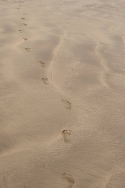Footprints on a remote beach at dawn