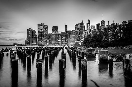 Brooklyn Bridge Park stumps with Manhattan skyline