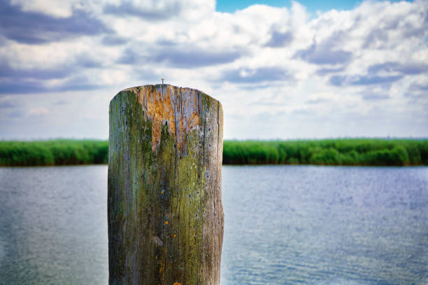 istock Baltic Coast of Germany 1422521883