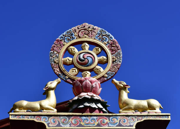 Dharwheel (dharmachakra) flanked by deer - Thangthong Dewachen Dupthop nunnery, Thimphu, Bhutan Zilukha, Thimphu, Bhutan: golden Dharma wheel on a lotus atop a pillar at Thangthong Dewachen Dupthop nunnery - the eight spokes represent the Noble Eightfold Path of Buddhism. Buddhists believe that the first turning of the wheel occurred when the Buddha taught the five ascetics at the Deer Park in Sarnath, because of this, dharmachakras are often represented with a deer on each side - Vajrayana Buddhism dharma stock pictures, royalty-free photos & images