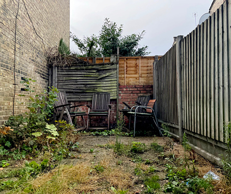 Over grown back yard with broken chairs