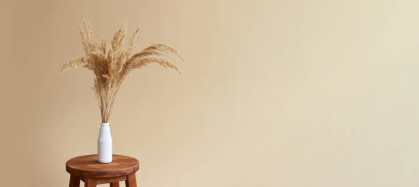 istock Branches of pampas grass in vase on beige background. interior decoration. copy space 1422525320