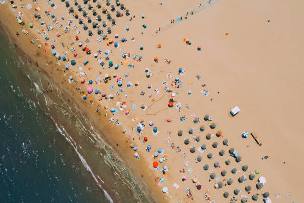 istock Aerial view of sunbathing people on beach 1422527158