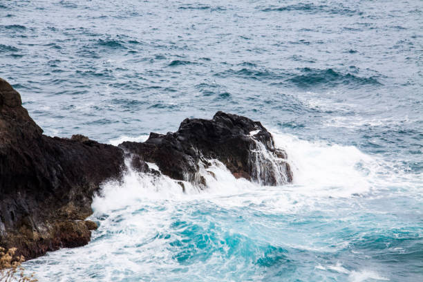 Tuff Wave 160+ Tuff In Aqua Stock Photos, Pictures & Royalty-Free Images - iStock