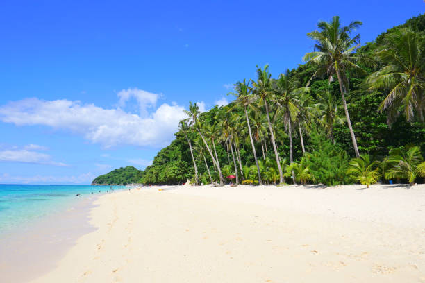 Tropical Sandy Beach And Dramatic Sky Background