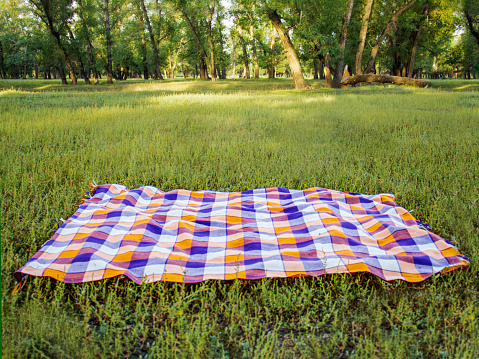 picnic tablecloth on green grass selective focus,summer picnic