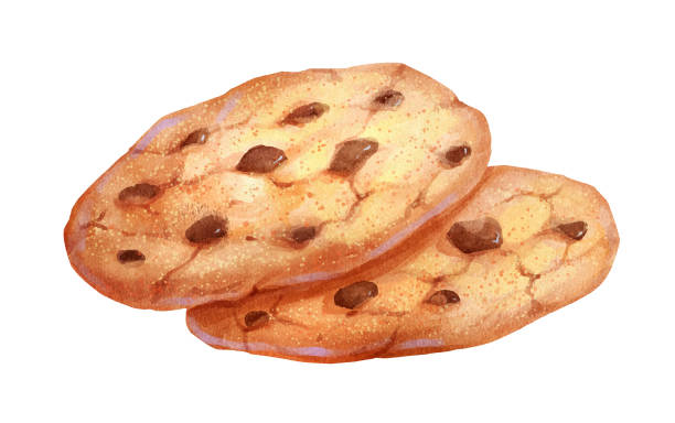 Watercolor isolated illustration of Cookies Vector hand painted watercolor illustration of Chocolate Chip Cookies isolated on white background chocolate chip cookie drawing stock illustrations