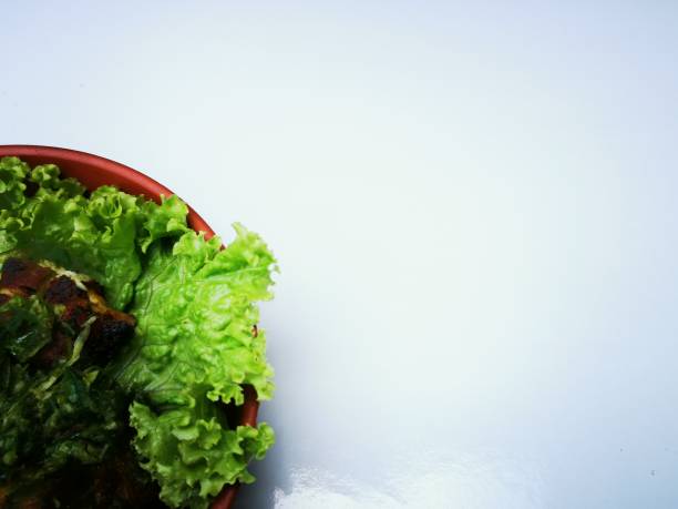 Indonesian traditional dish which is a plate of grilled chicken and lettuce on the white surface
