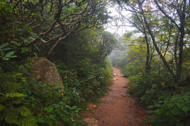 istock Craggy Gardens Trail 6 Storybook 1422538877
