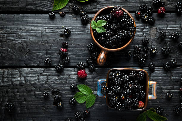 forest harvest