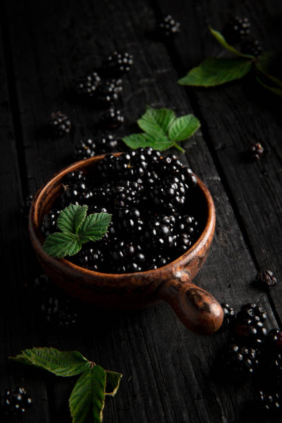 istock Bowl of fresh blackberries on dark background 1422541148