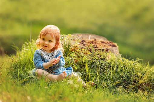 Baby red hair girl in blue dress sitting on a big tree stump in the park, looking at something invisible during sunset. Fantasy concept.