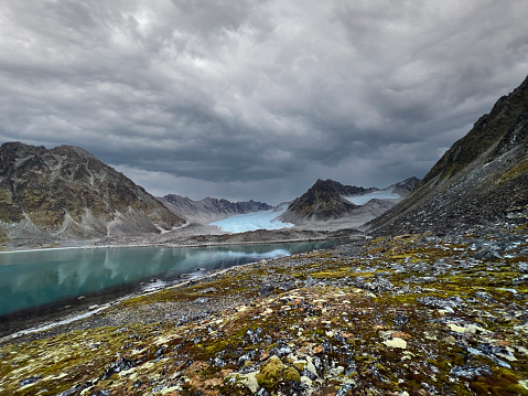 colorful lichen covering the tundra along a fjord in Svalbard.