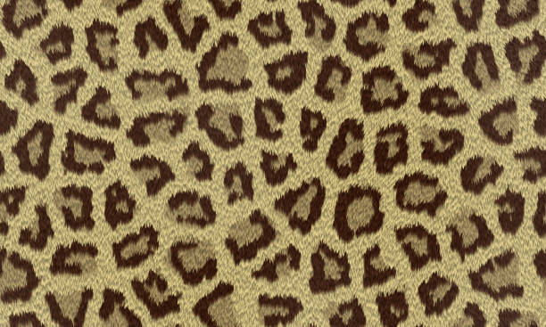 istock Fashionable Leopard, tiger and panther Seamless Pattern. Stylized Spotted and line Leopard Skin Background for Fashion, Print, Wallpaper, Fabric. 1422544071