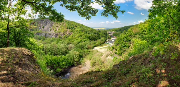 Forest landscape panorama in carpatians, Slovakia
