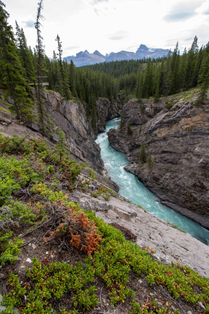 istock Kootenay Plains 1422557460