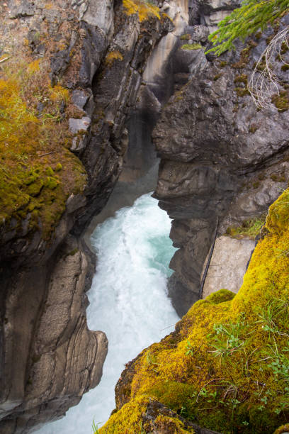 istock Kootenay Plains 1422558388