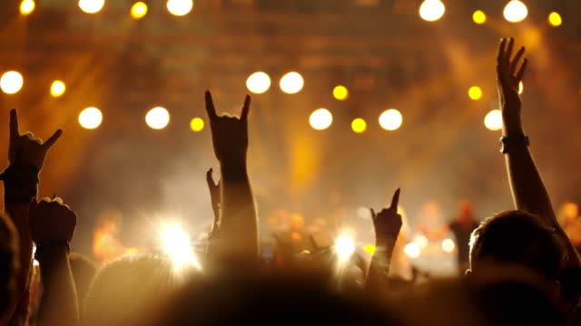 Audience in a rock concert