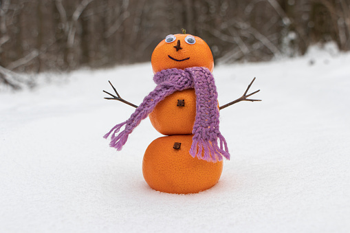 A snowman made of tangerines in a purple scarf. A snowman made of tangerines stands on the snow in the forest. Winter concept. Winter postcard. New Year