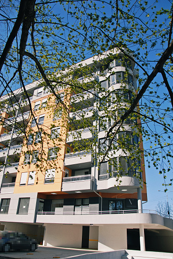 View through the branches of a tree towards modern apartment building.