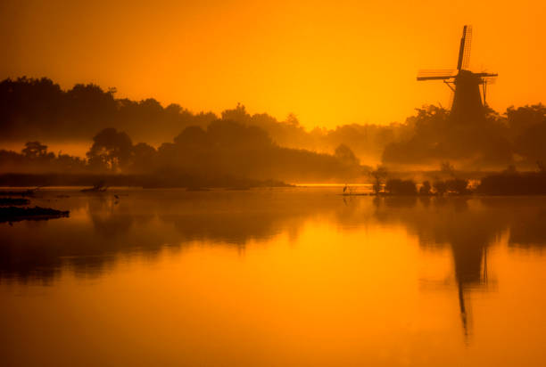 Dawn