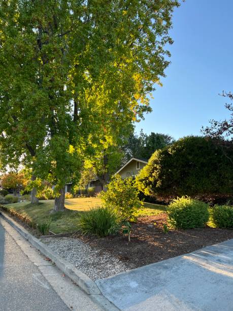 istock Neiborhood in California 1422573037