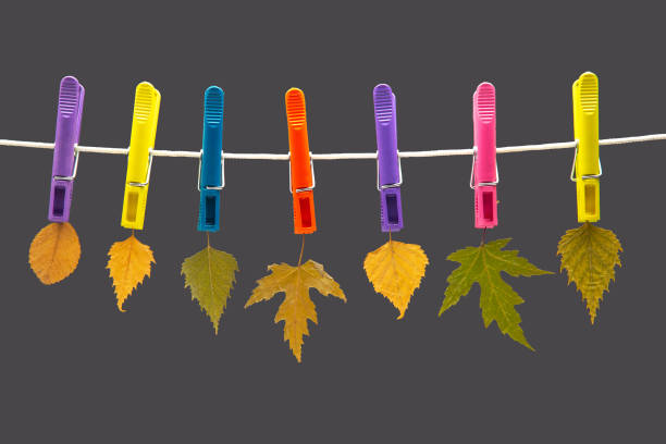 istock autumn dry leaves hang on colored clothespins 1422574494