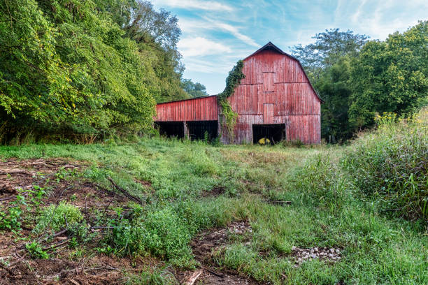 Old red barn in the summer.