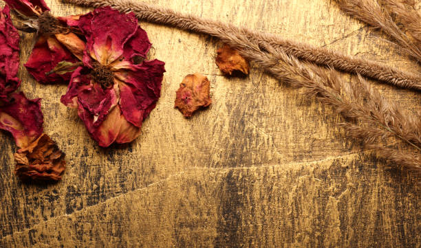 istock autumn still life with leaves and free space for text 1422605292