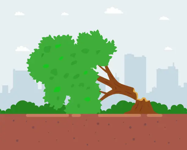 Vector illustration of a tree felled by a hurricane blocks the road. flat vector illustration.