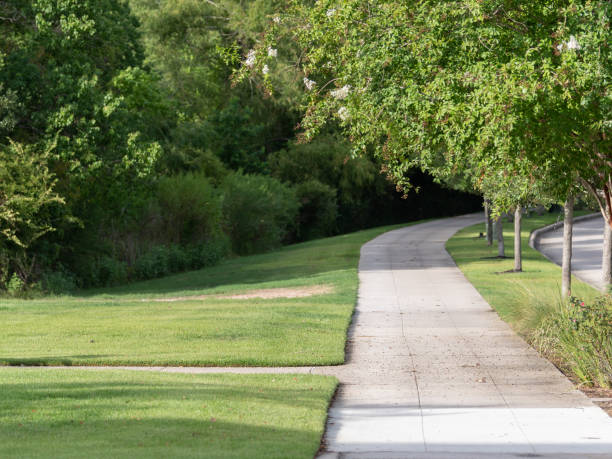 istock A walking path in the Woodlands, Texas on a sunny day in summer. 1422609393