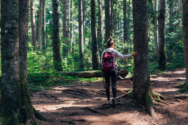 istock Young woman hiking through the forest 1422614481