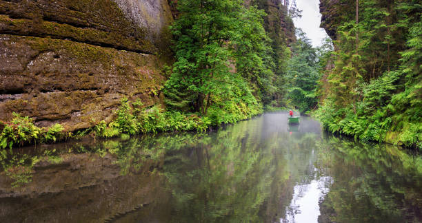 Summer natural landscape - view of the river with a boatman in the Elbe Sandstone Mountains, Bohemian Switzerland Summer natural landscape - view of the river with a boatman in the Elbe Sandstone Mountains, Bohemian Switzerland, the north-western Czech Republic, 5 July, 2022 elbe valley stock pictures, royalty-free photos & images