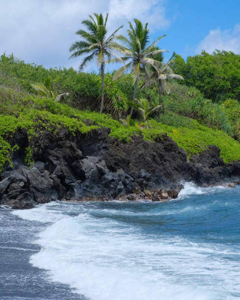 пляж с черным песком и пальмами в государственном парке вайнапанапа мауи - black sand beach hawaii islands maui стоковые фото и изображения